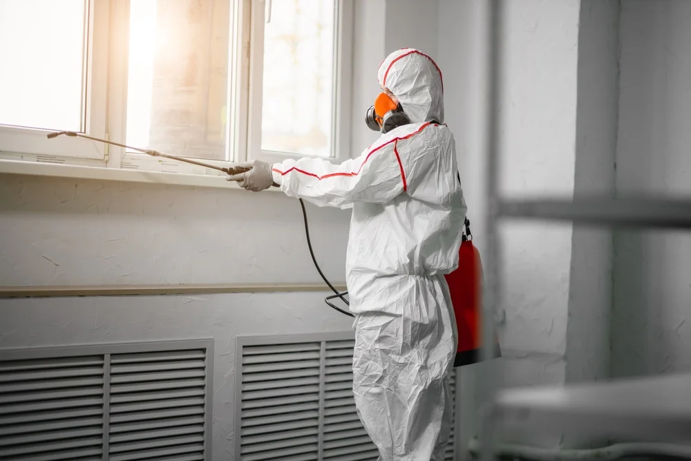 Professional mold remediation services in Woodbury, NJ